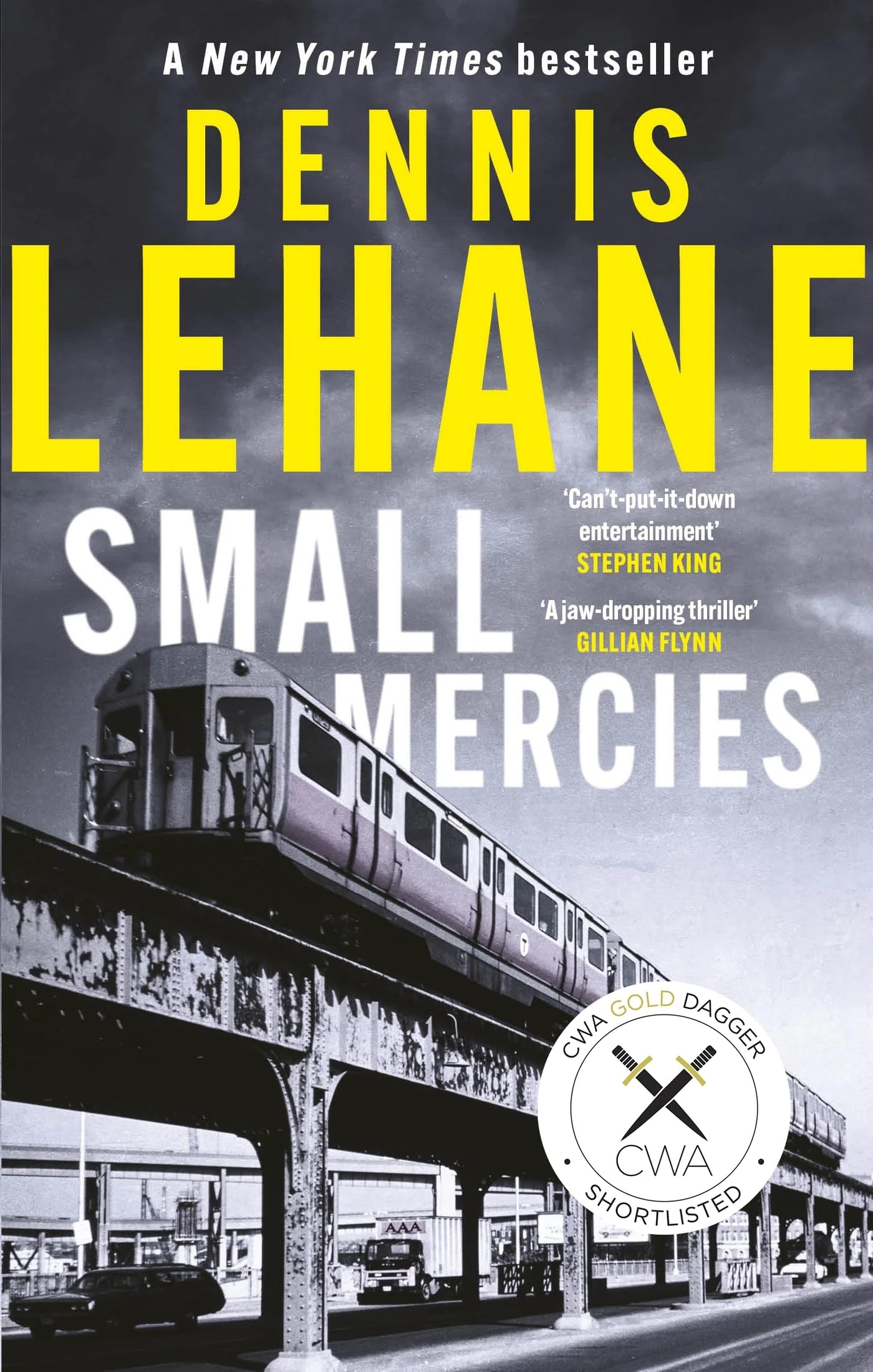 Small Mercies: 'Engaging, enraging, and can’t-put-it-down entertainment' Stephen King
