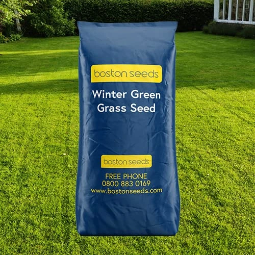 Boston Seeds Winter Grass Seed (5kg) - Fast Growing Grass Seed, Rapid Germination Lawn Seed in Low Temperatures (5°+). Winter Garden Seeds.