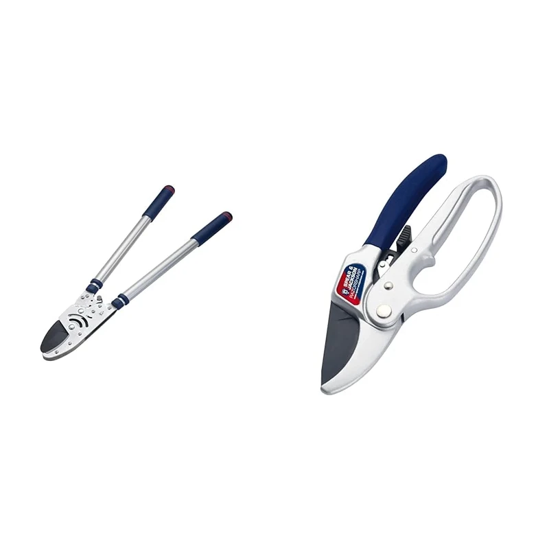Spear and Jackson 8290RS Razorsharp Advance Heavy Duty Telescopic Ratchet Anvil Lopper & Spear and Jackson 6358RS Razorsharp Ratchet Anvil Secateurs, Silver