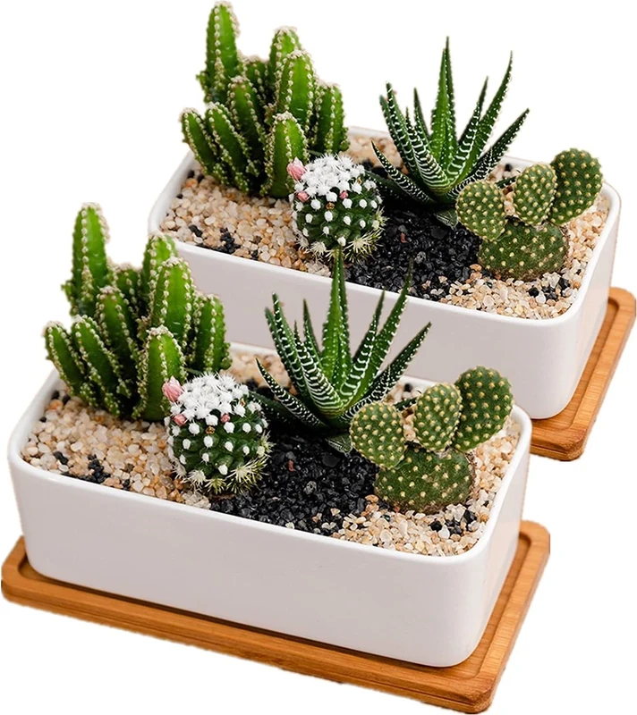 disdain White Ceramic Plant Pots Indoor, Succulent Plant Pot Small Plant Pots for Home Office Decoration(rectangular-set of 2)