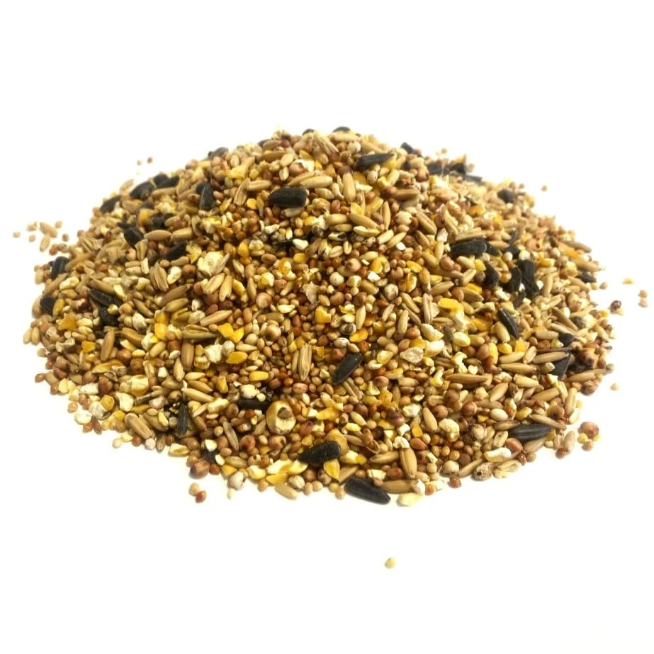 Everyday Mixture 200g Premium Wild Bird Food Garden Seed Feed SLW
