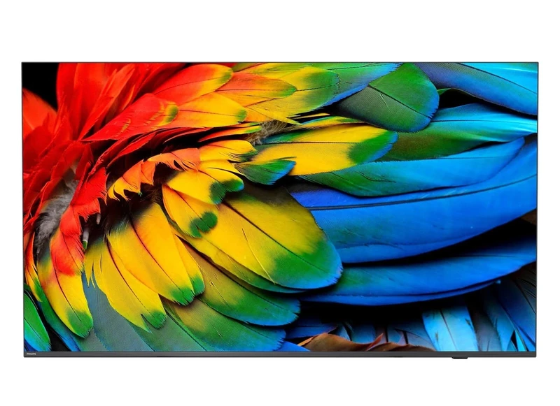 PHILIPS - Professional TV 65 65HFL6214U