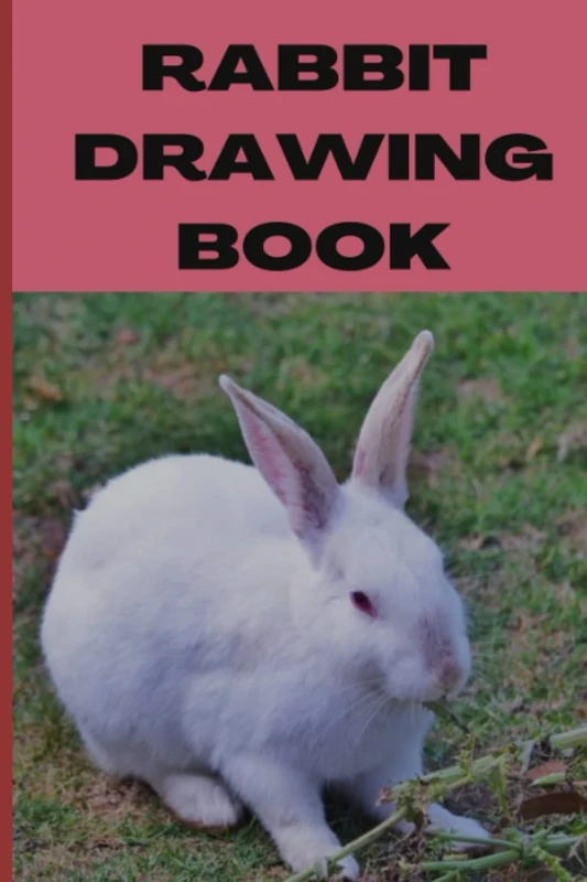 Rabbit Drawing Book: For your Prince&Princess