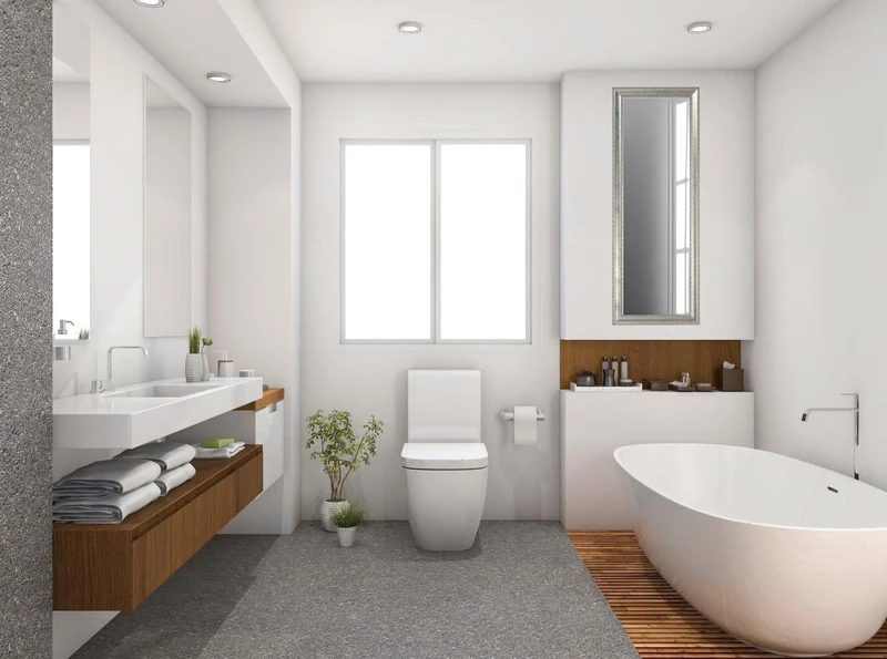 Zalena Elysee 60 x 80 cm Designer Wall Mirror for Home Guest Bathroom Hallway Gadrobe Living Room