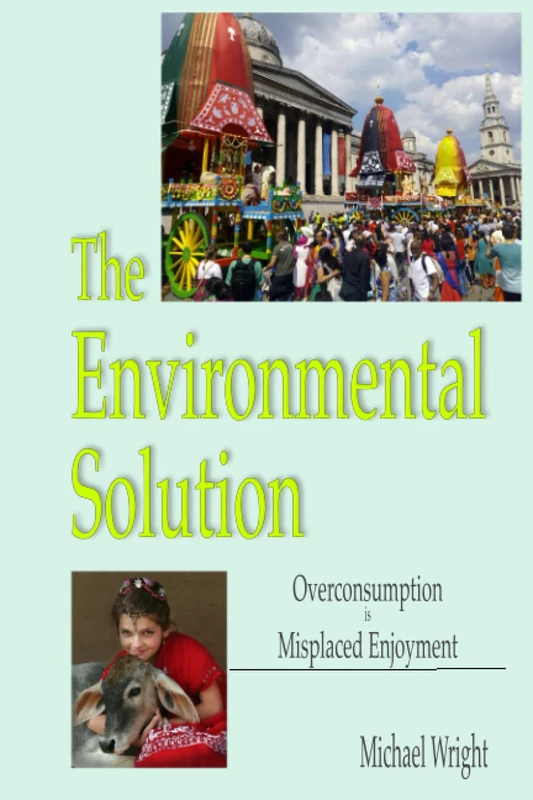 The Environmental Solution: Overconsumption is Misplaced Enjoyment