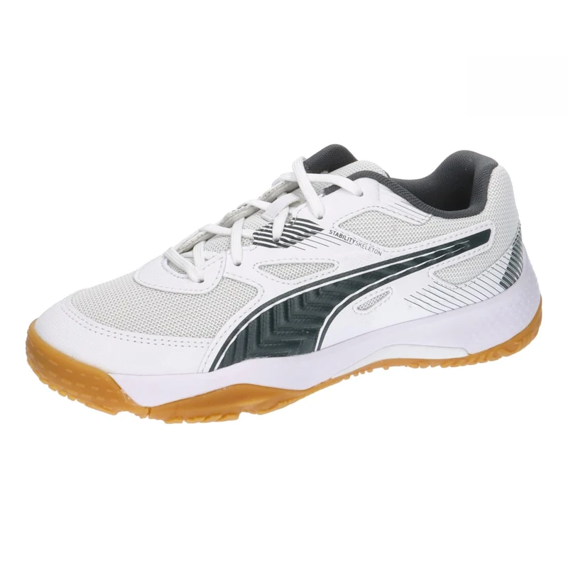 Puma Unisex Youth Solarflash Jr Ii Indoor Court Shoes, Puma White-Shadow Gray-Gum, 10 UK - Image 1