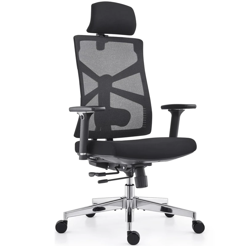 HOLLUDLE Ergonomic Office Chair - Adaptive Backrest, 4D Armrests