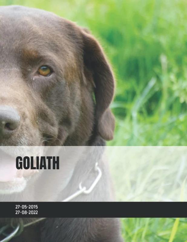 Goliath