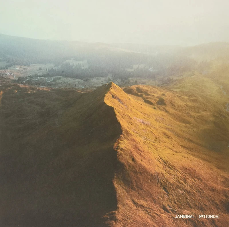 Onda [VINYL]