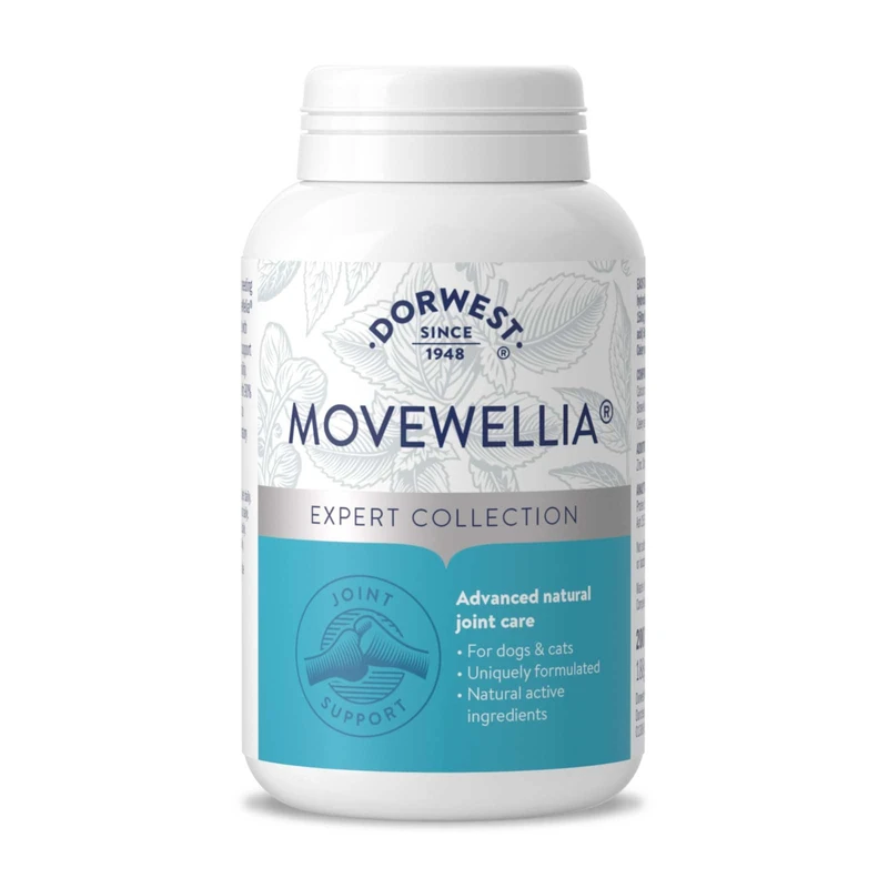 Dorwest Herbs MoveWellia Joint Care Supplement for Dogs and Cats - 200 Tablets - Natural Dog Supplements for Joint Discomfort with Boswellia, Chondroitin, Glucosamine and Celery Seed - Image 1