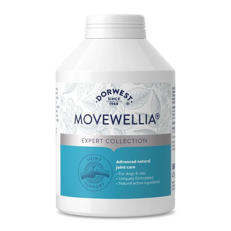 Dorwest Herbs MoveWellia Joint Care Supplement for Dogs and Cats - 500 Tablets - Natural Dog Supplements for Joint Discomfort with Boswellia, Chondroitin, Glucosamine and Celery Seed