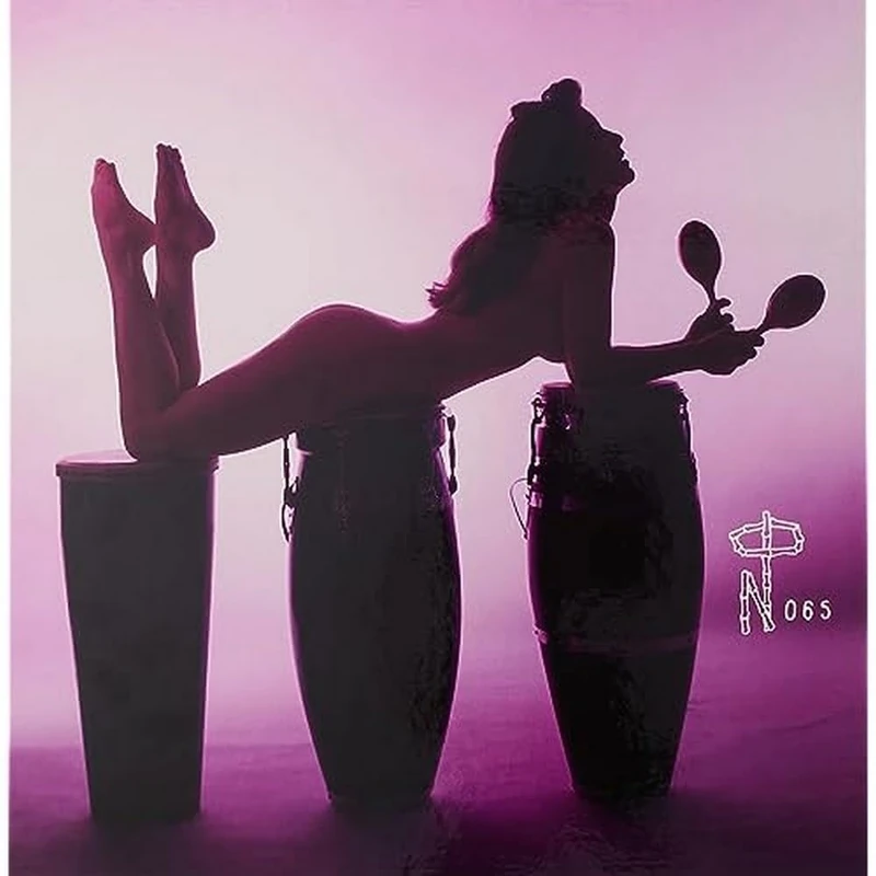 Technicolor Paradise: Rhum Rhapsodies & Other Exotic Delights [VINYL]