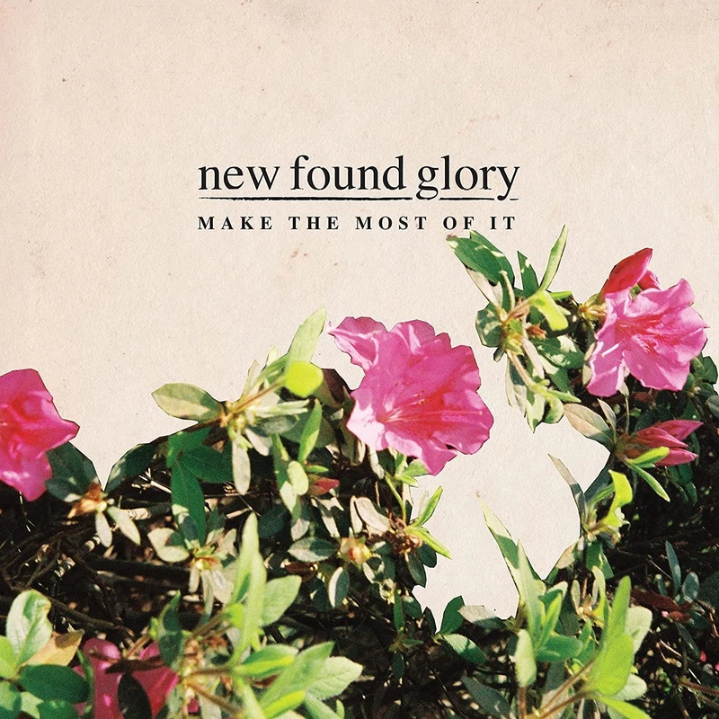 Make The Most Of It [VINYL] - Image 1