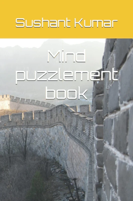 Mind puzzlement book