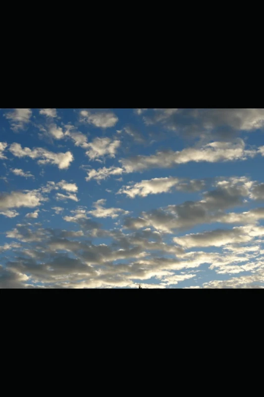 ROBOT ISLAND: Hard-Copy Script