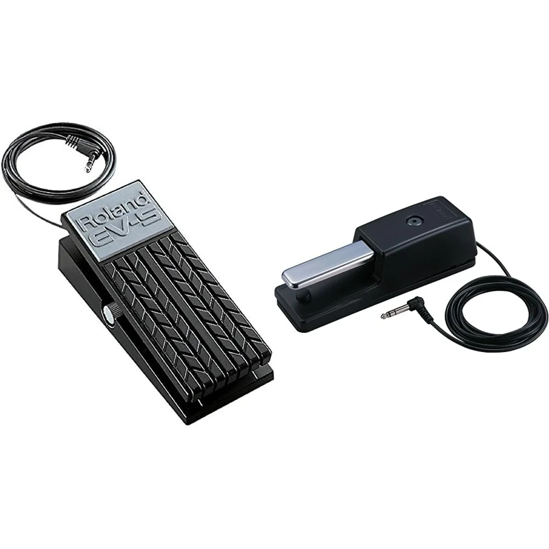 ROLAND Ev-5 Expression Pedal for Synths And Keyboards & Dp-10 Traditional Style Damper Pedal