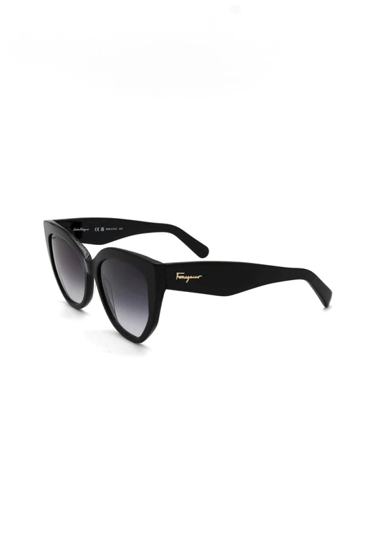 Salvatore Ferragamo SF1061S SF1061S 001 black sole Women's Steel, Standard, 56 - Image 1