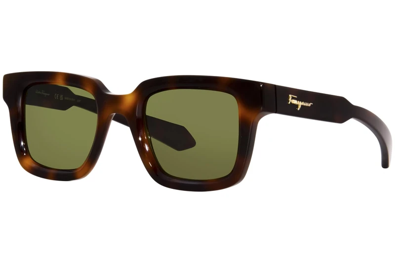 Salvatore Ferragamo SF1064S SF1064S 240 tortoise sole Women's Steel, Standard, 48