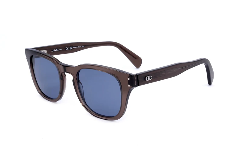 Salvatore Ferragamo SF1057S SF1057S 232 brown transparent sole Women's Acetate, Standard, 49
