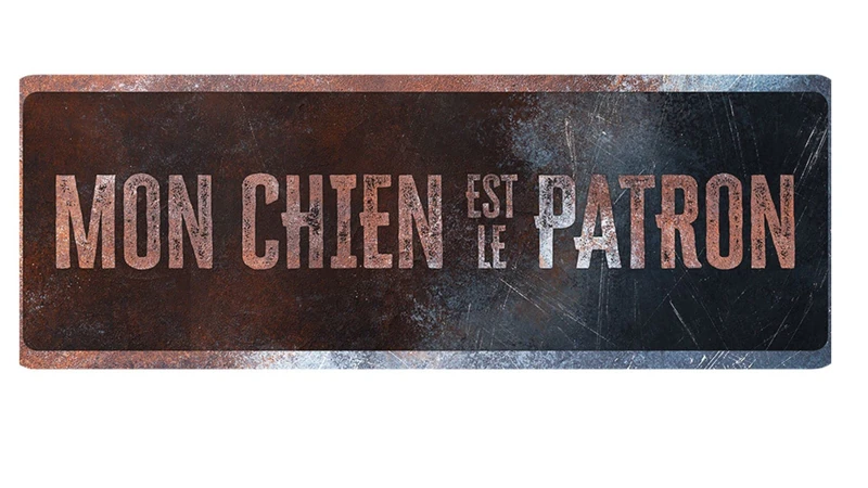 D&D Home, Warning Sign, Warning to the Dog, 40 x 13 x 0.2 cm, French Version, Black Background, Rust-Resistant Metal Warning Sign with Funny Text