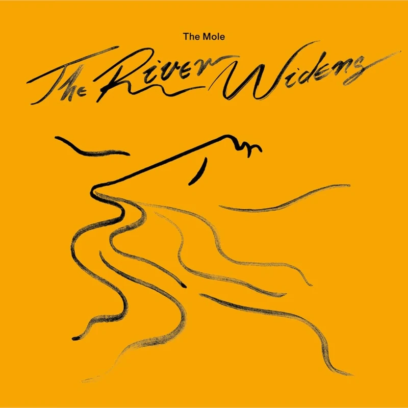 The River Widens [VINYL] - Image 1