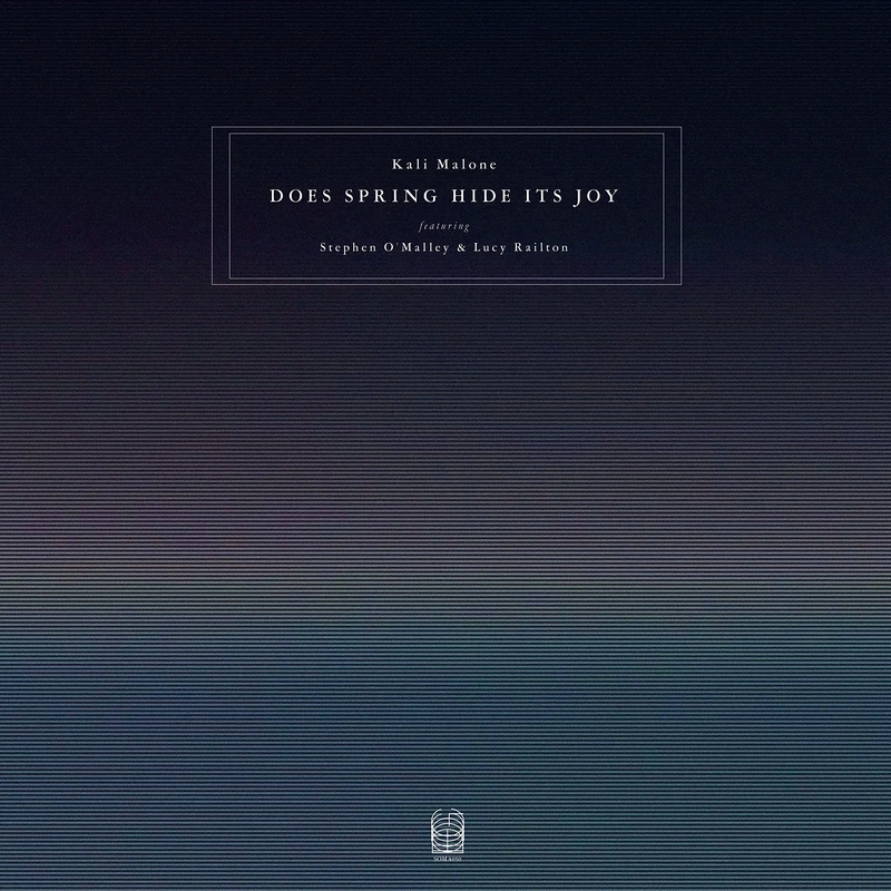 Does Spring Hide Its Joy (Feat. Stephen O'Malley & Lucy Railton) [VINYL]