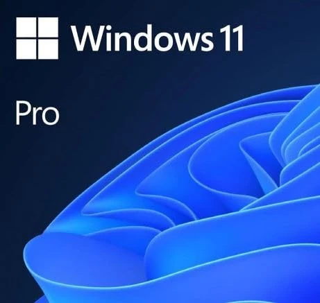 Microsoft Windows 11 Pro HAV-00159 TR 64Bit Boxed Operating System