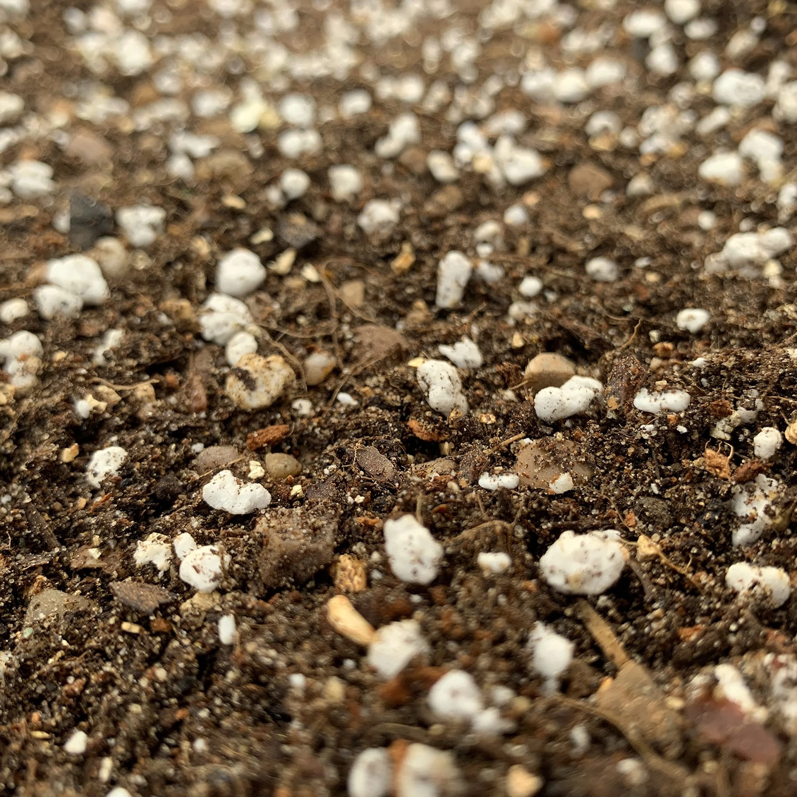 All-Purpose Cactus & Succulent Potting Mix (4 LITRES)