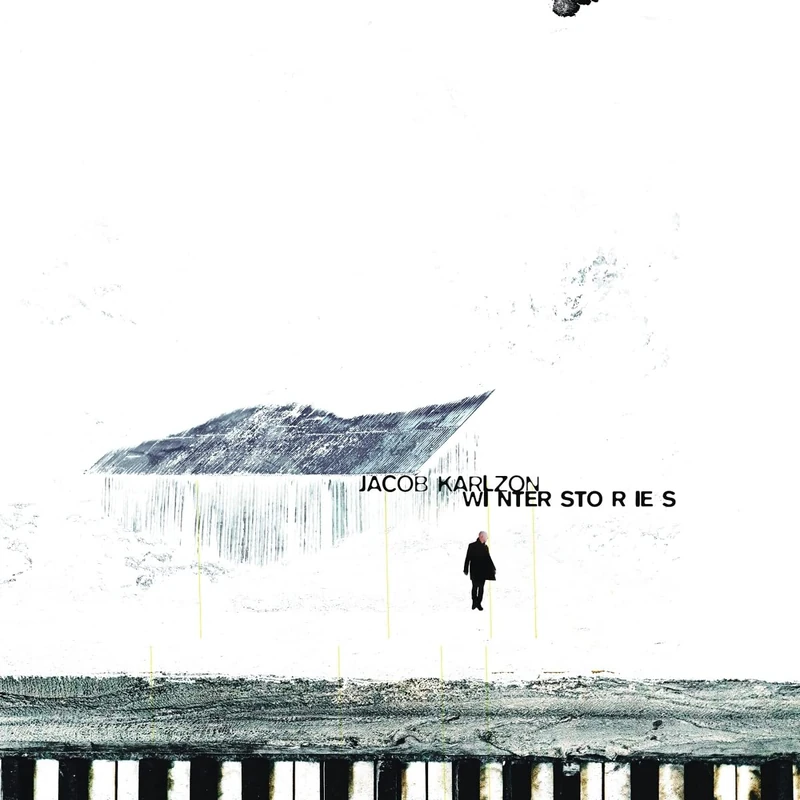 Winter Stories [VINYL] - Image 1