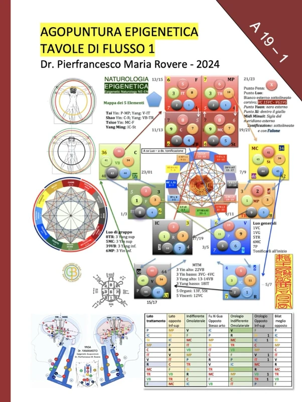 Agopuntura Epigenetica 1: Tavole di Flusso