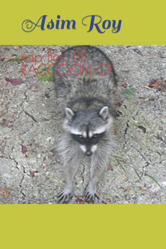kdp Best DB RACCOON 01 - Image 1