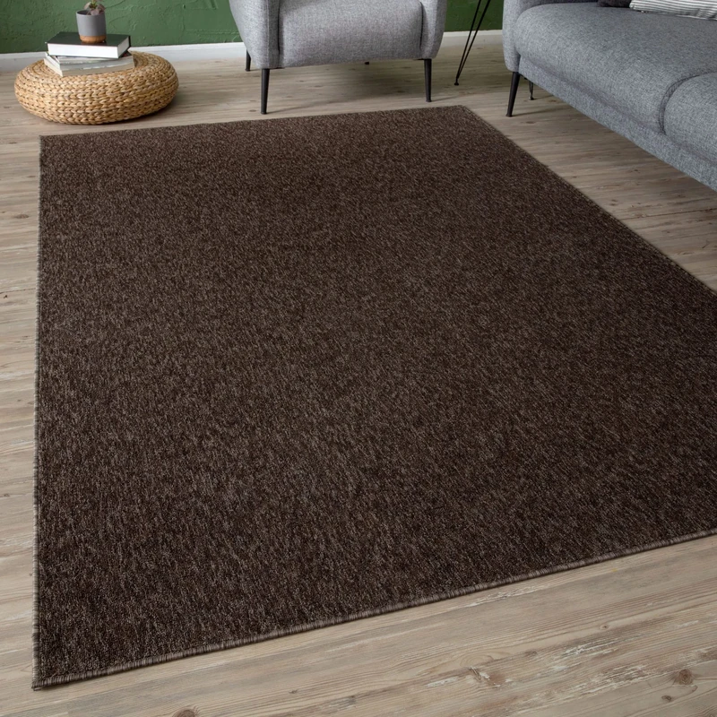 THE RUGS Low Pile Area Rugs – Modern Indoor Rugs for Living Room, Bedroom, Dining Room, Entryway – Non-Shedding (Brown, 160x230 cm)