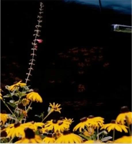 Mystery Street - Image 1