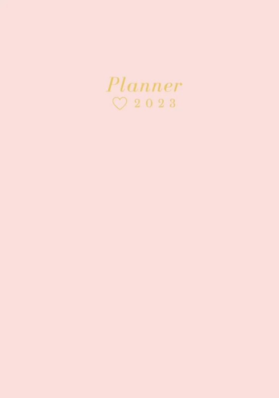 Planner -Agenda a color - Planea todo tu día y trázate metas mes por mes - planner de gratitud, cuidado personal y logros. Tapa dura con terminación mate de 312 páginas.