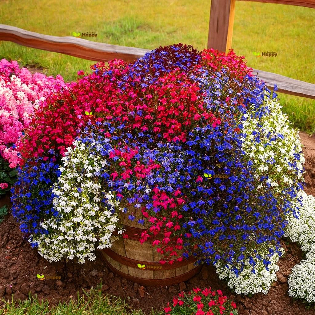 Trailing Lobelia Cascade Mix 7000 Seeds + Plant tag Lobelia Pendula Balcony Flower