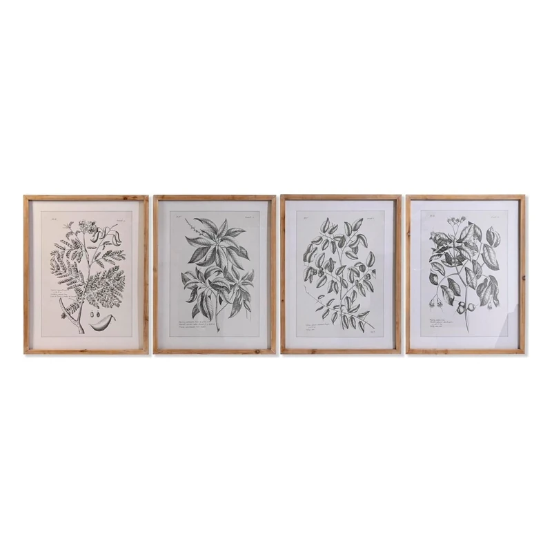 DKD Home Decor Frame, Standard