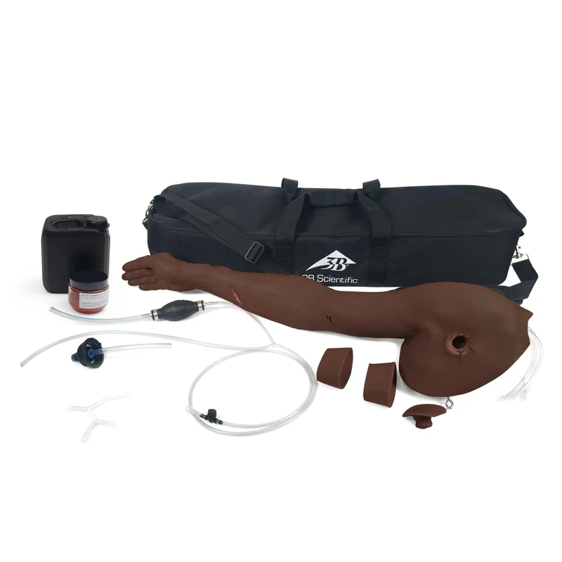 3B Scientific Hemorrhage Control Arm Trainer P102D (Dark Skin)