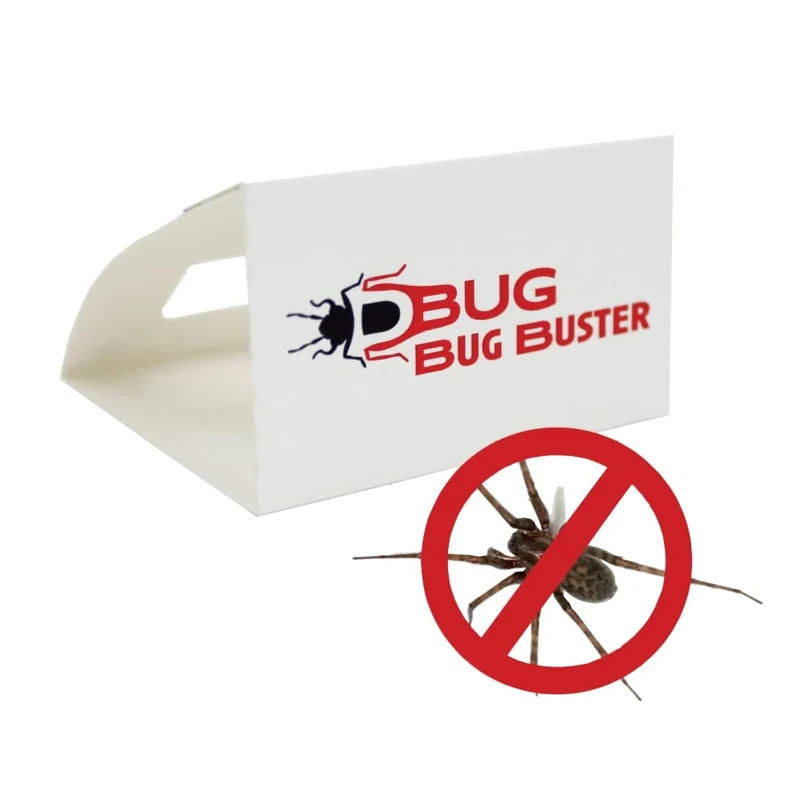 DBUG Bug Buster Sticky Spider Trap For Home - Indoor Spiders and Crawling Insect Killer Traps - Child and Pet Safe - 30 Pack
