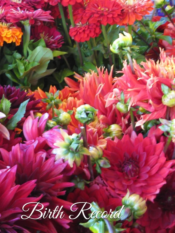 Family Birth Record Book