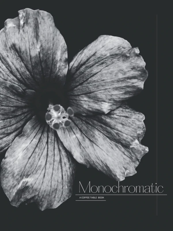 Monochromatic - decorative coffee table books huge black and white: A Large Statement Table Book (HARDCOVER) | Decoration for Home Styling, Interior ... home: Miscellaneous Black & White photography