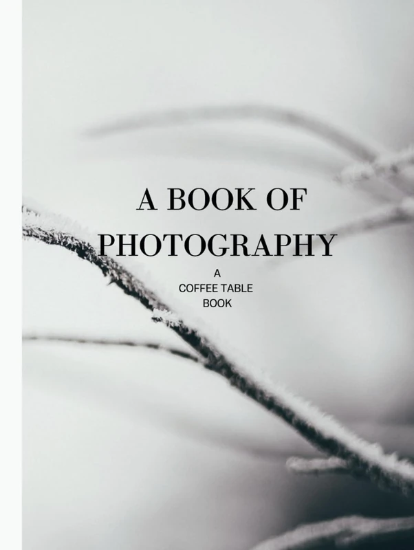 Grey and White coffee table books huge for decor: A Large Statement Table Book (HARDCOVER) | Decoration for Home Styling, Interior Design, or accent ... home: Miscellaneous Black & White photography