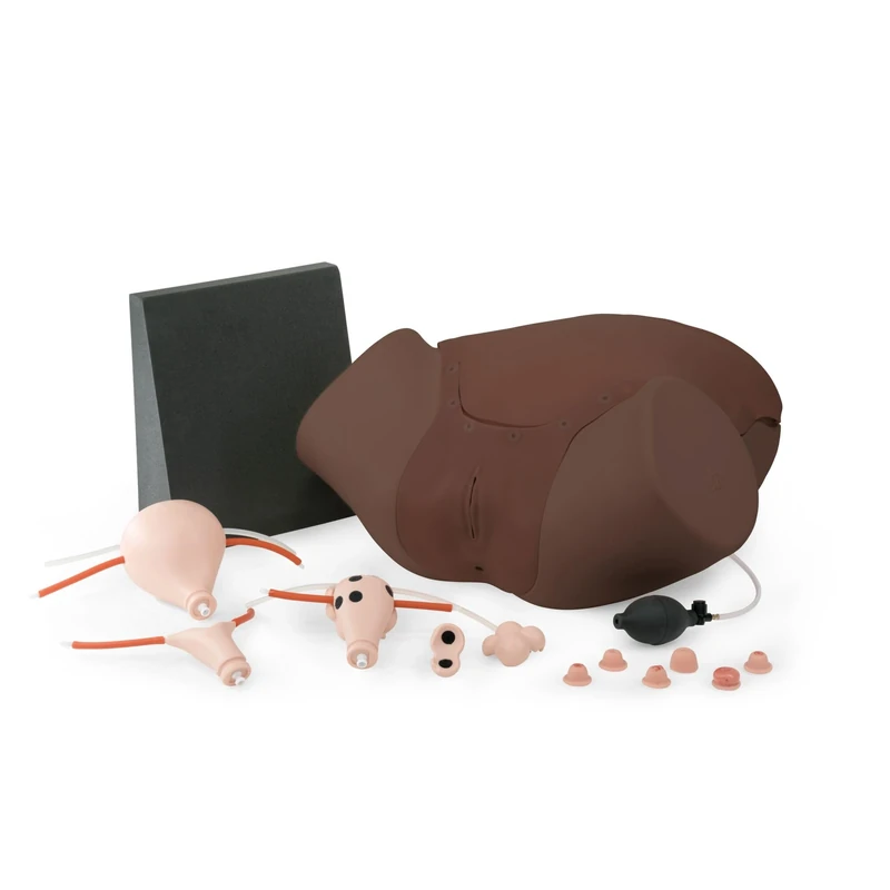 3B Scientific Gynecologic Skills Trainer P91D (Dark Skin)