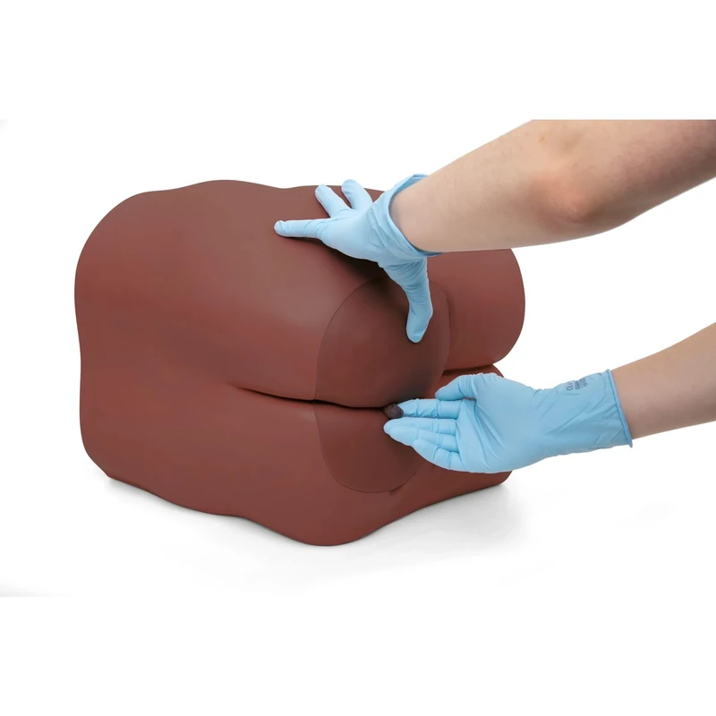 3B Scientific Bowel Care & Enema Trainer P16D (Dark Skin)