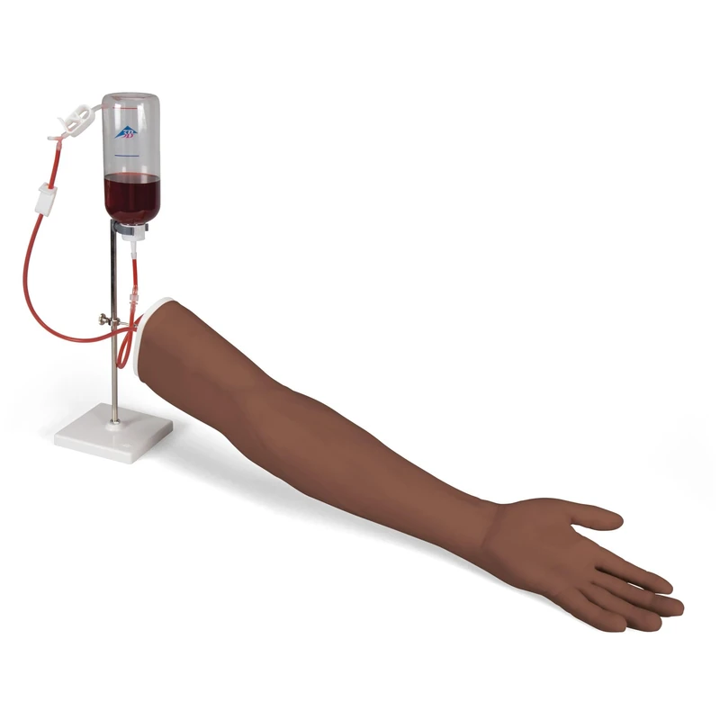 3B Scientific I.V. Injection Arm P50/1 (Dark Skin)