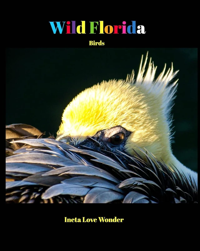 Wild Florida: Birds