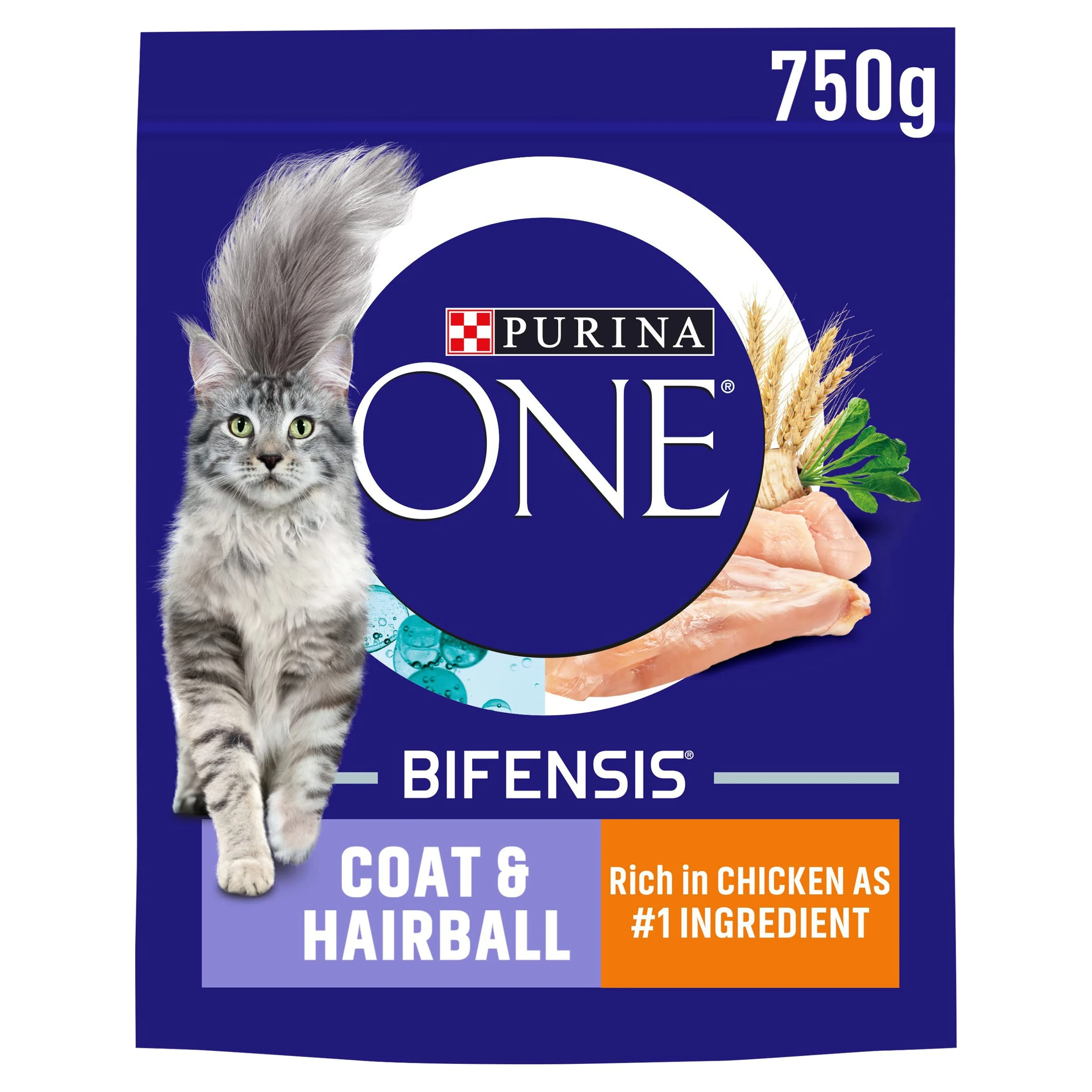 PURINA ONE Coat and Hairball Chicken Dry Cat Food 750g (Pack of 4)