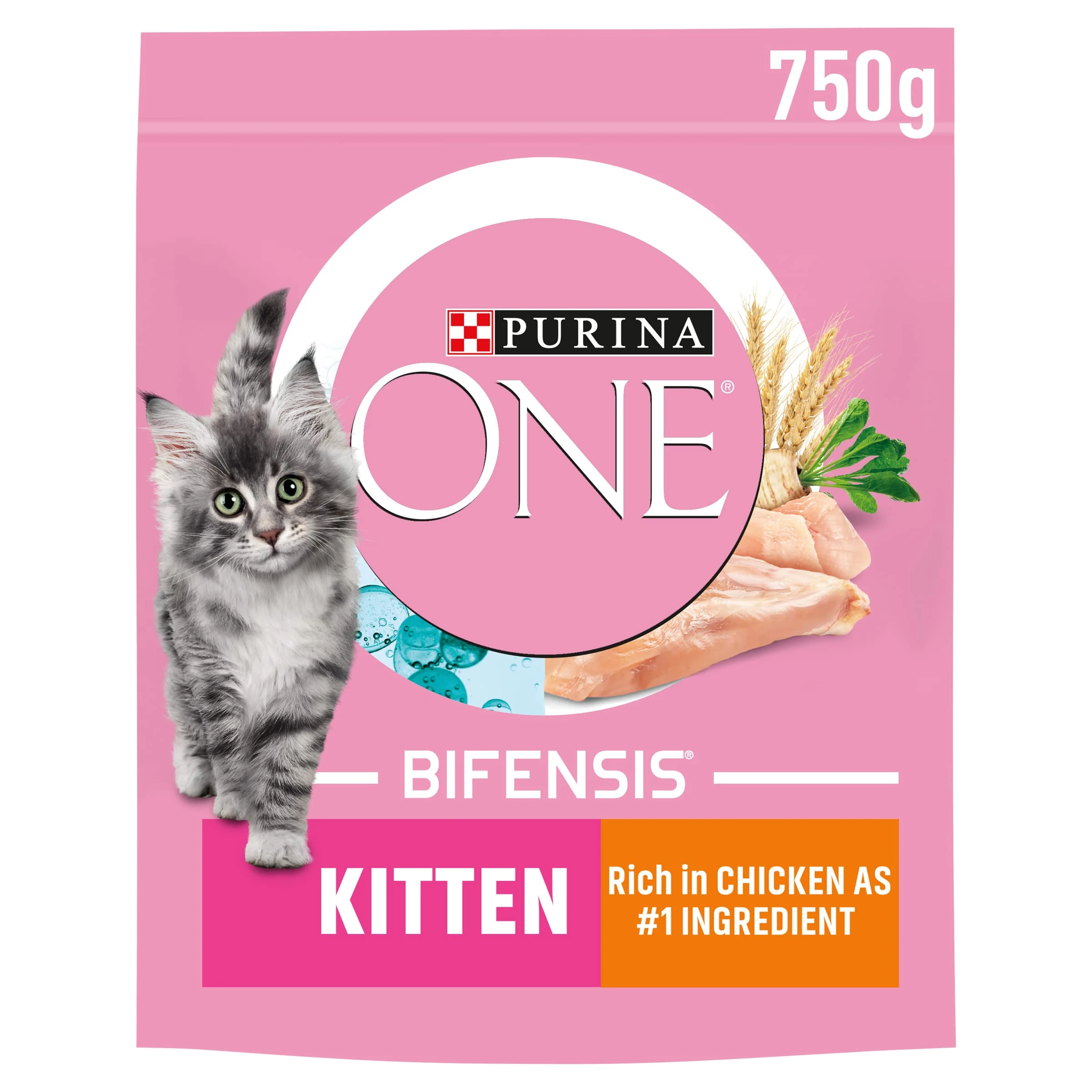 PURINA ONE Kitten Chicken Dry Cat Food 750g (Pack of 4)