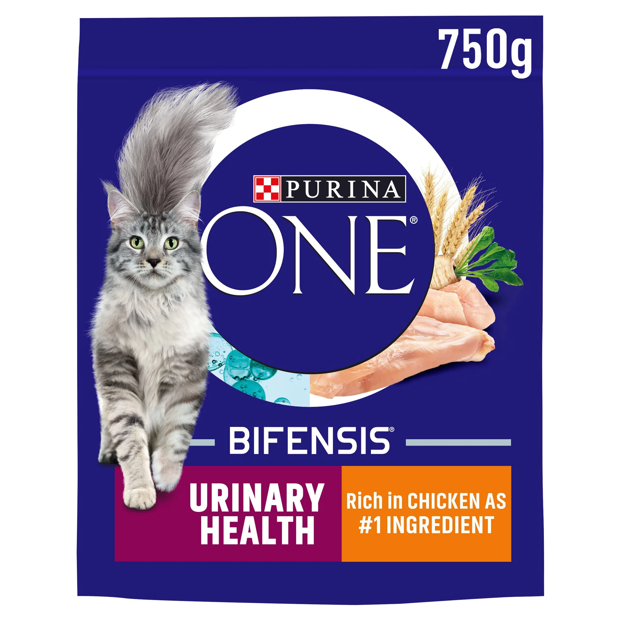 PURINA ONE Urinary Health Chicken Dry Cat Food 750g (Pack of 4)