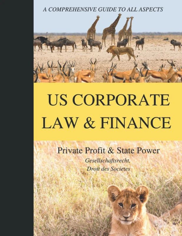 The Lion's Share? A COMPREHENSIVE GUIDE TO ALL ASPECTS OF US CORPORATE LAW AND FINANCE: Private Profit & State Power (Gesselschaftsrecht, Droit des Sociétés)