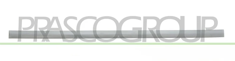 Protective strip front left primed